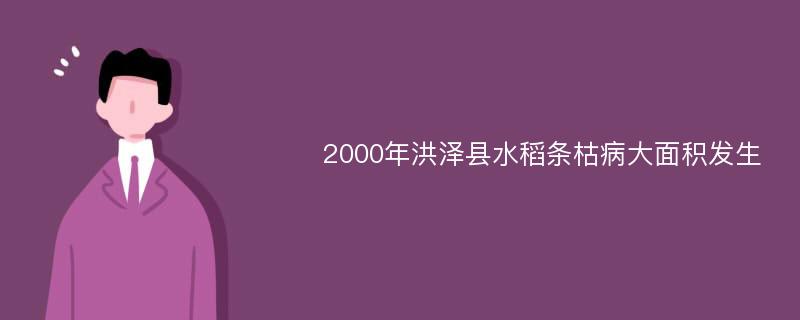 2000年洪泽县水稻条枯病大面积发生