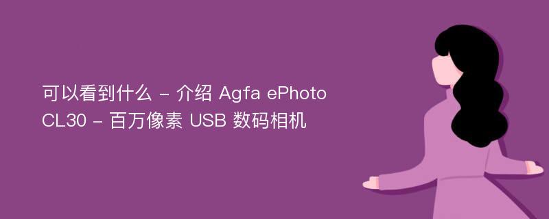 可以看到什么 - 介绍 Agfa ePhoto CL30 - 百万像素 USB 数码相机