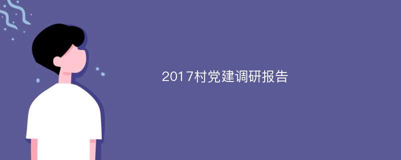 2017村党建调研报告