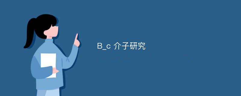 B_c 介子研究