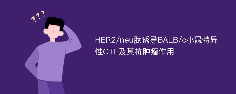HER2/neu肽诱导BALB/c小鼠特异性CTL及其抗肿瘤作用