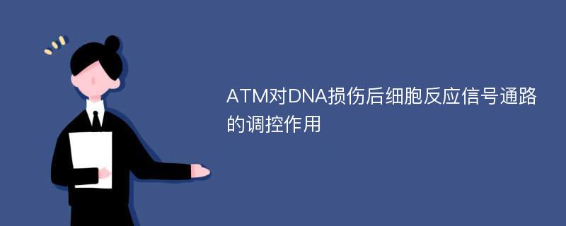ATM对DNA损伤后细胞反应信号通路的调控作用